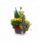 Coupe horticole