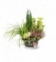 Coupe horticole