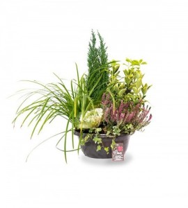 Coupe horticole