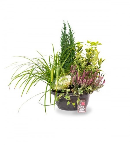 Coupe horticole