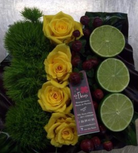 Arrangement bas Lana