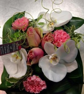 Arrangement bas Clara