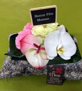 Arrangement bas Sofia