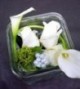 Arrangement bas Charlotte