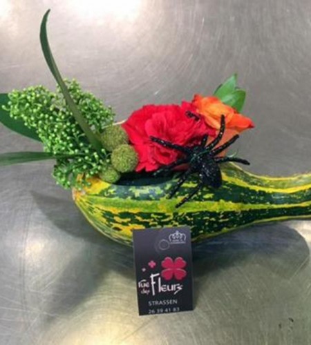 Arrangement bas Halloween 5