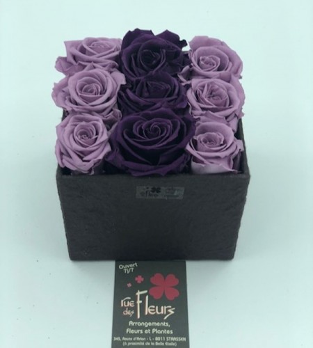 Roses éternelles 4