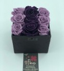 Roses éternelles 4