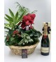 Panier de Plantes et Champagne