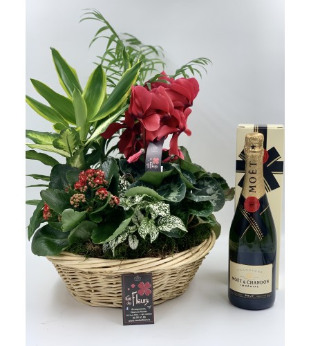 Panier de Plantes et Champagne